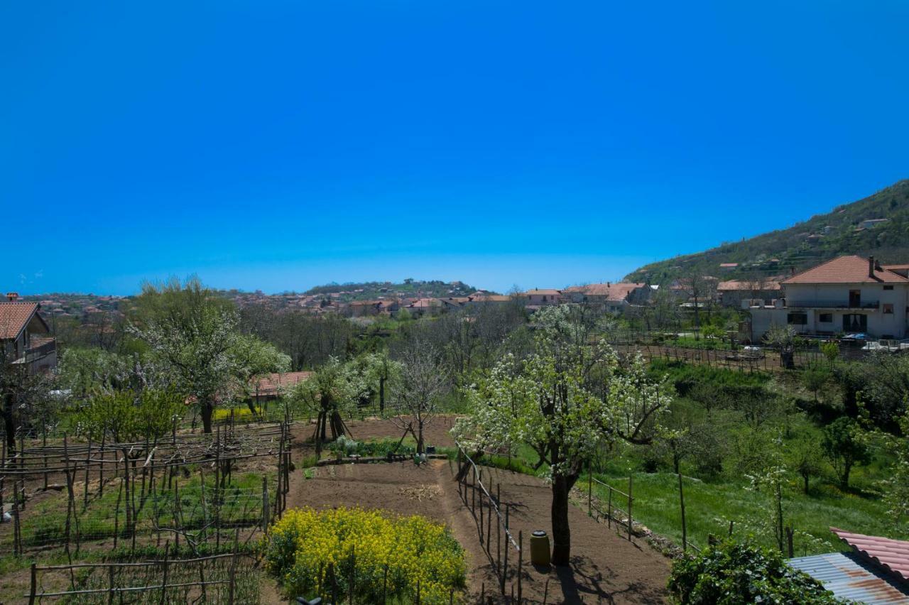 アジェーロラ Al Cortile Di Nonno Luigiヴィラ エクステリア 写真